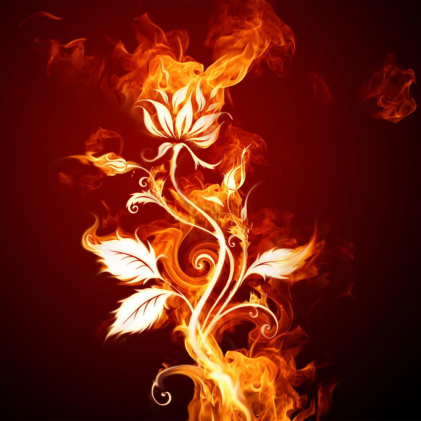 Vector - Burning Fire Rose Flower - iPad iPhone HD phone wallpaper