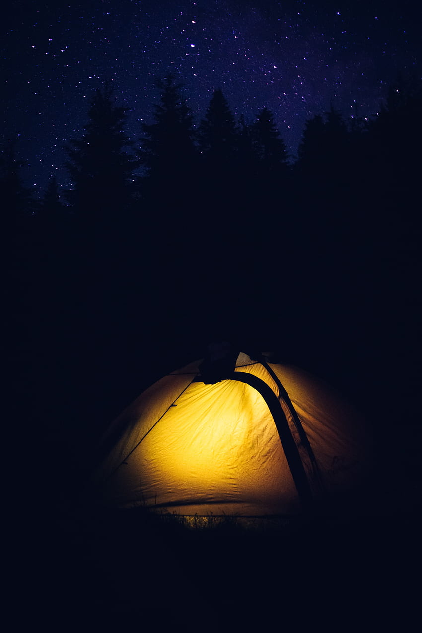 Night, Dark, Forest, Tent, Camping, Campsite HD phone wallpaper