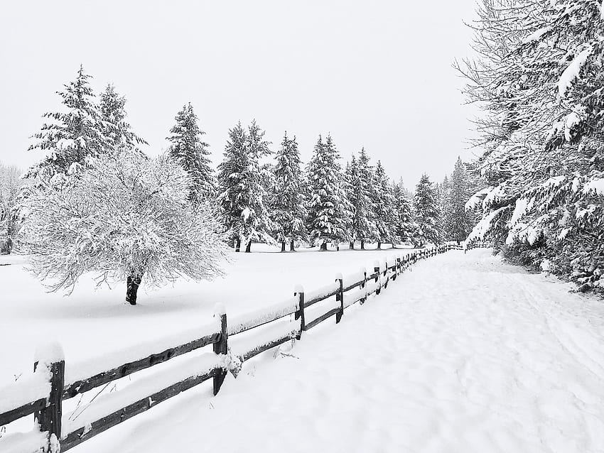 Conseils pour une graphie hivernale étonnante sur votre iPhone, Snowscape Fond d'écran HD