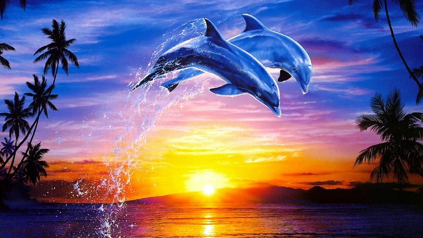 Dolphins Jumping Sunset HD wallpaper | Pxfuel