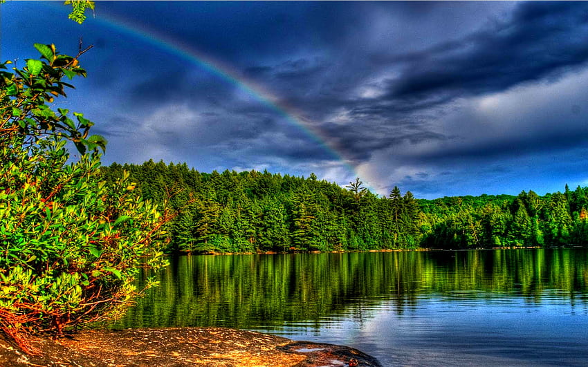 RAINBOW over the LAKE, reflection, rainbow, trees, r, lake HD wallpaper