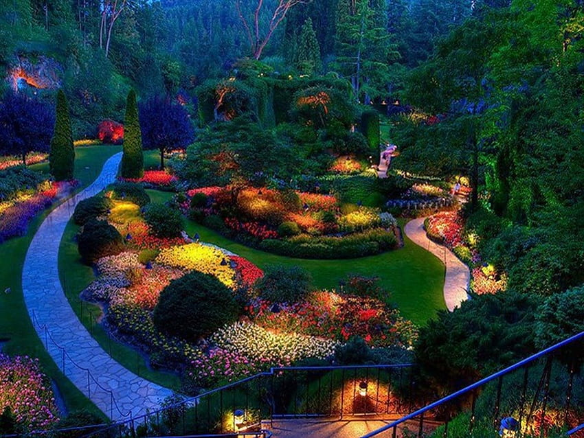 Jardim de flores, casa, árvores verdes, luzes, rua, belas vistas, flores coloridas, floresta, noite papel de parede HD