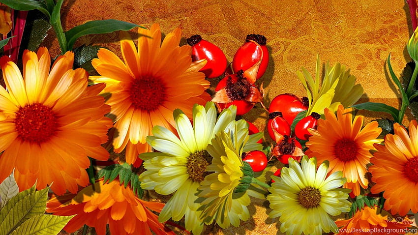 Best Autumn Flowers Hd Wallpapers Pxfuel
