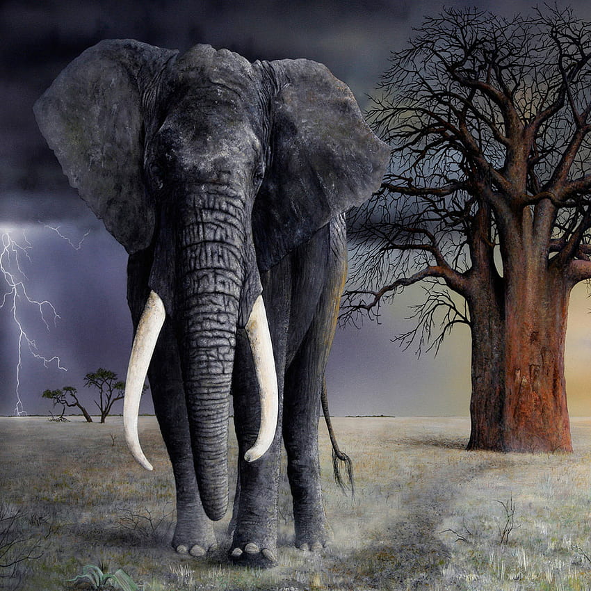 Elephant. iPad - iPad & background HD phone wallpaper