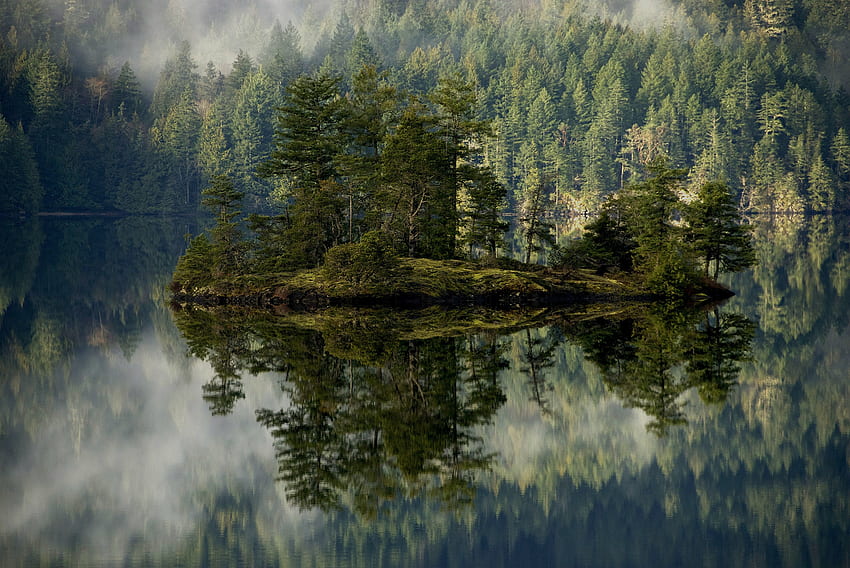 naturaleza, lago, reflexión, bosque, niebla, isla fondo de pantalla