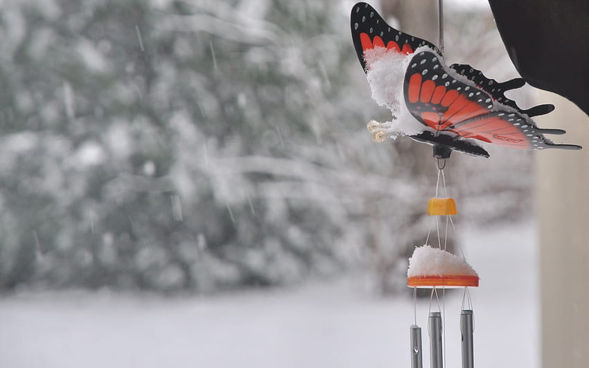 Snowy Windchime, inverno, carillon, farfalla, neve Sfondo HD