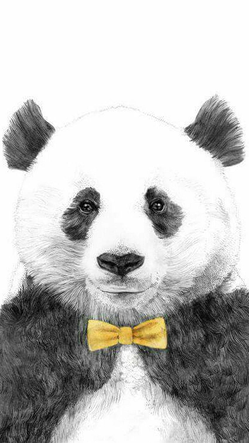 Panda For Phone. Best . Panda illustration, Panda art, Panda drawing HD phone wallpaper