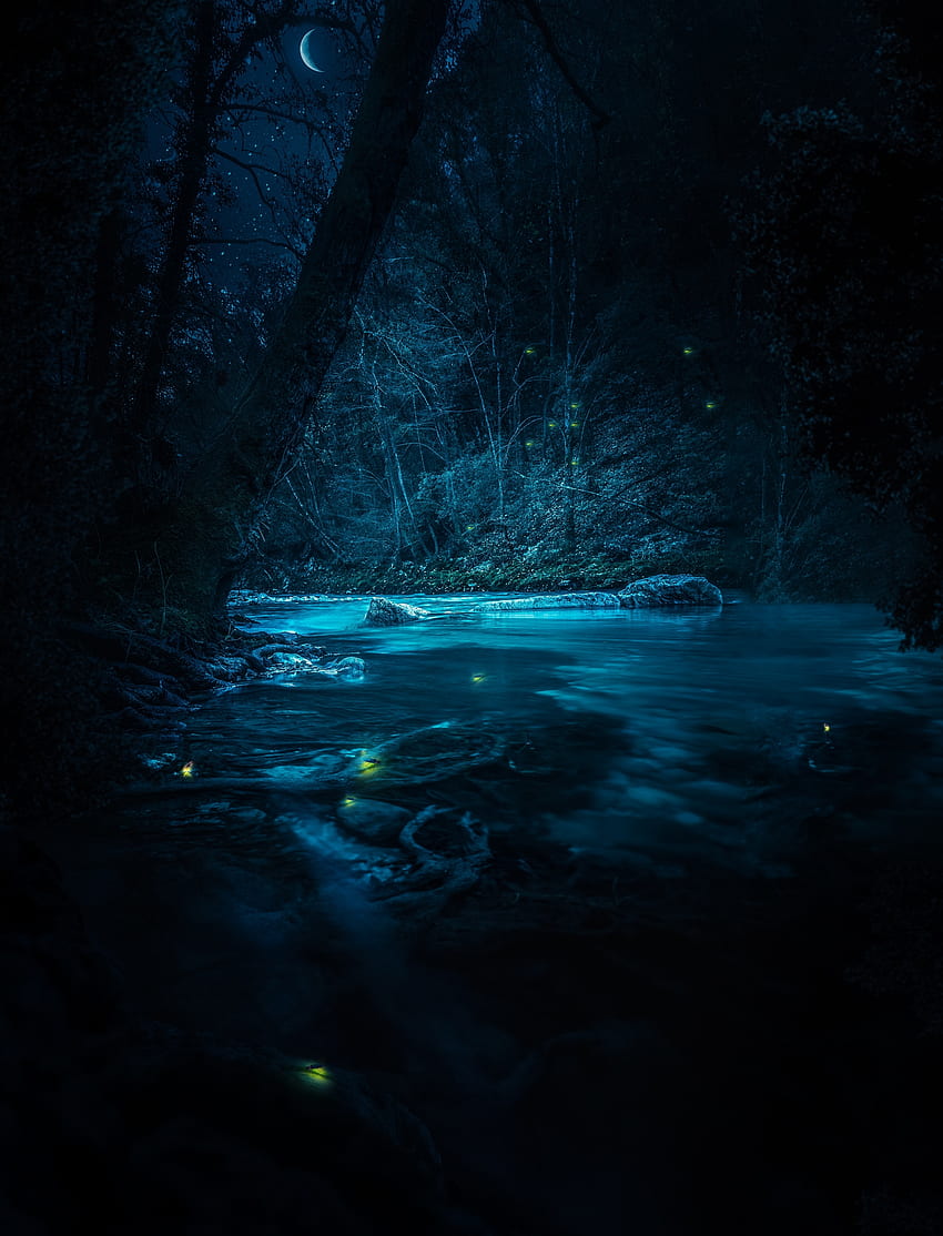 자연, 강, 나무, 돌, 밤, 빛나다, 빛 HD 전화 배경 화면