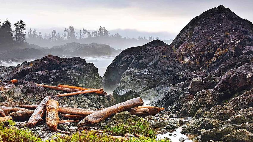 Driftwood registra sulla costa del Pacifico, Wild Pacific Trail, Isola di Vancouver, British Columbia, Canada Sfondo HD