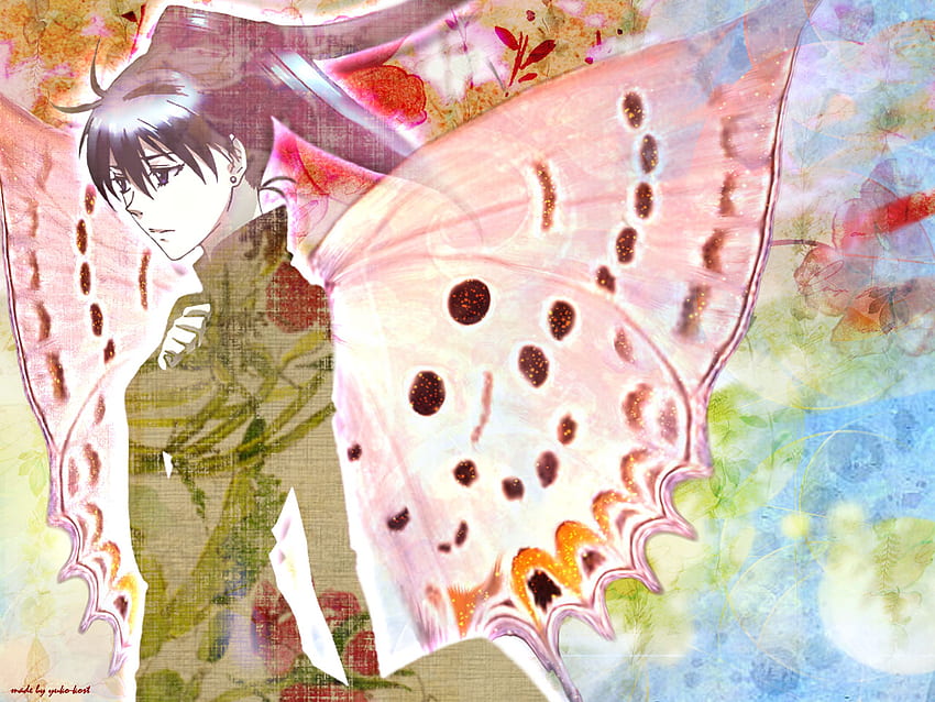 Enchanted Wings, exorcist, wings, black, lonely, d gray man, pink, anime, butterfly, green, enchanted, lenali HD wallpaper