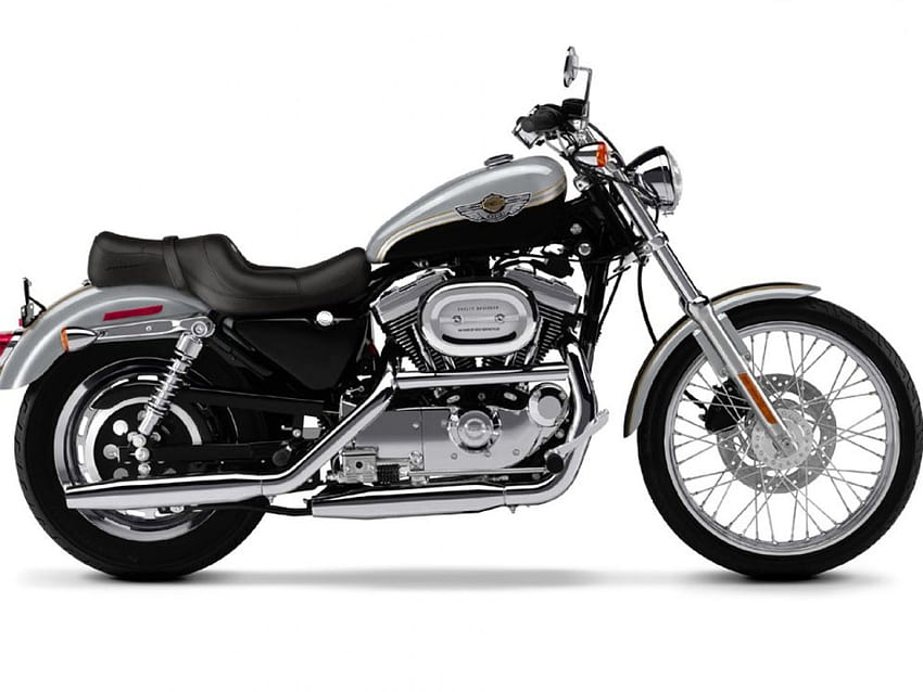 Harley Davidson XL1200C, personalizzato, harley, davidson, moto, bici Sfondo HD