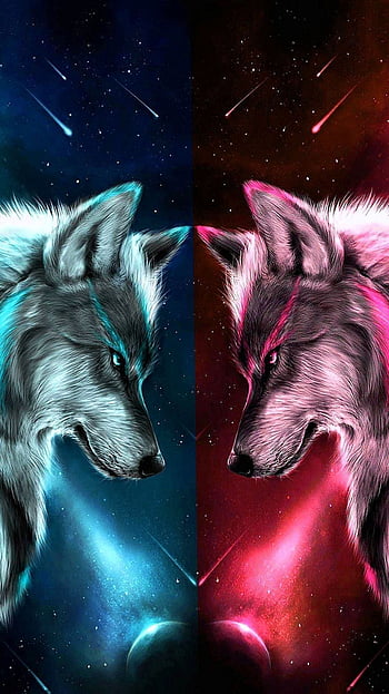 Cool wolf background for phones HD wallpapers  Pxfuel