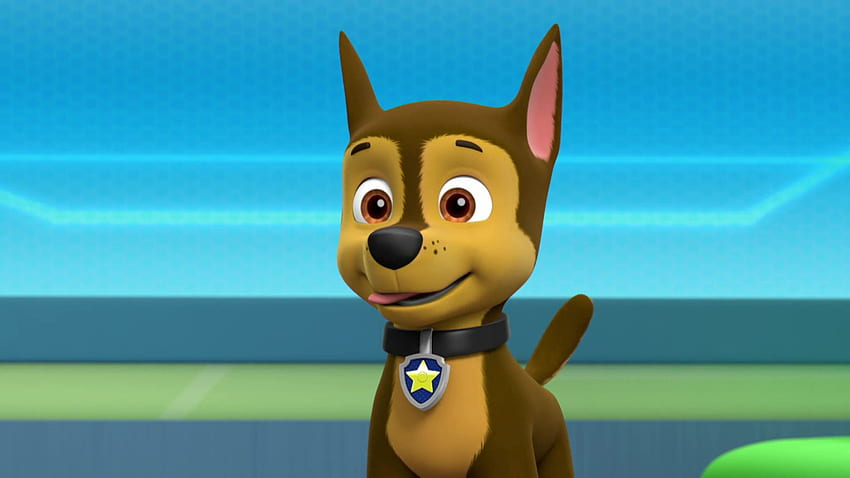 Chase Gallery Pups Save Chicken Day, Chase Paw Patrol HD wallpaper
