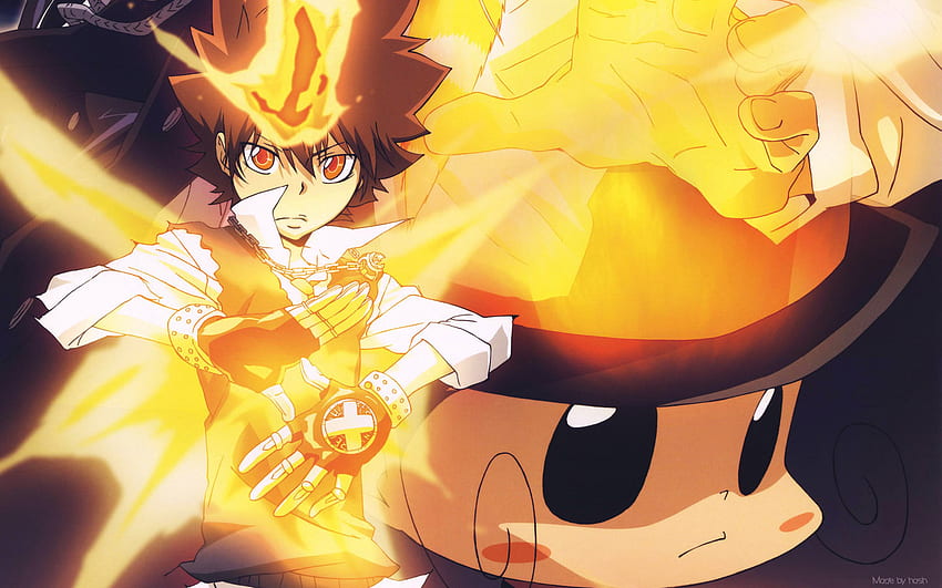 Katekyo Hitman WIEDERGEBOREN! Anime Board, Hitman Reborn Tsuna HD-Hintergrundbild