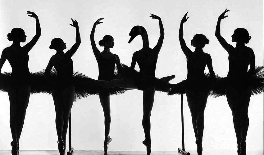 black swan. Dance , Ballet , Ballet, Ballet Silhouette HD wallpaper