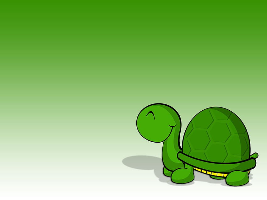 Cute Turtle, Kawaii Turtle HD wallpaper
