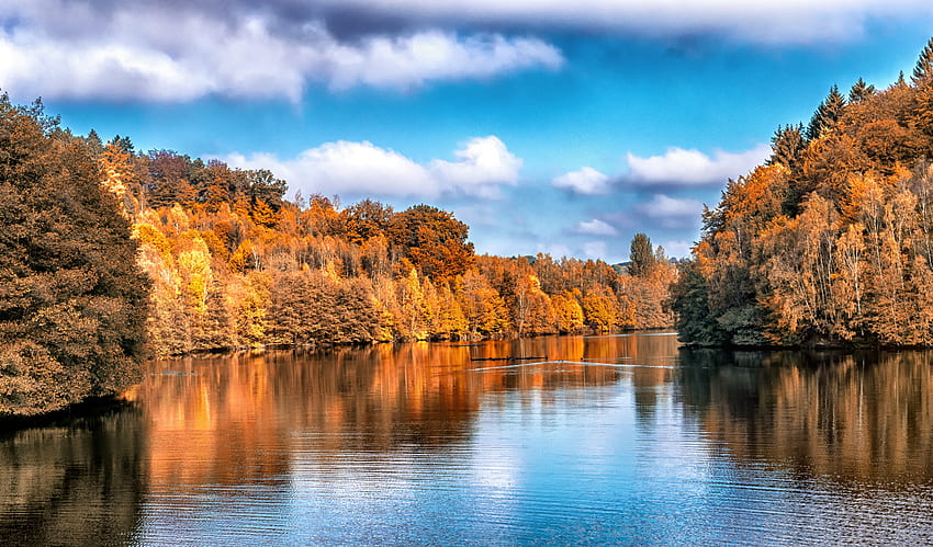 Природа, дървета, есен, езеро, отражение, отражения HD тапет