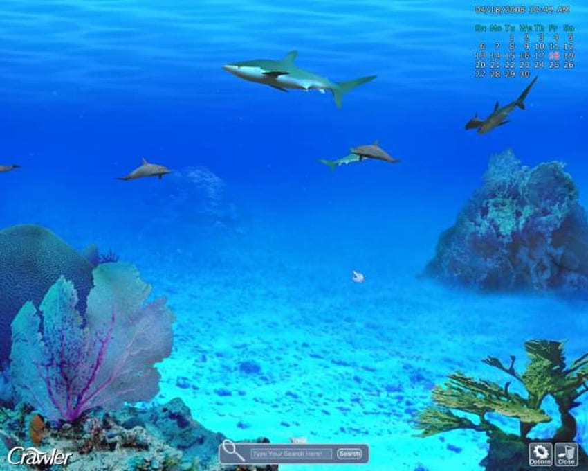 Crawler 3D Marine Aquarium Screensaver, Saltwater Aquarium HD wallpaper