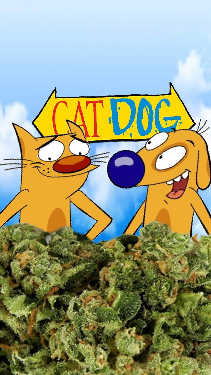 CatDog, CatDog Cartoon HD phone wallpaper