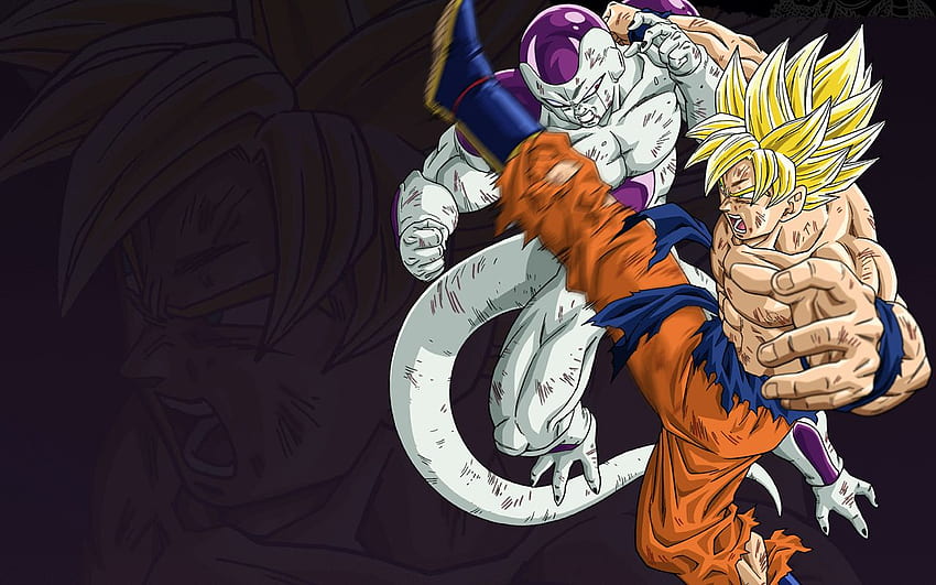 Dragon Ball Z, Goku Vs Frieza HD Wallpaper | Pxfuel