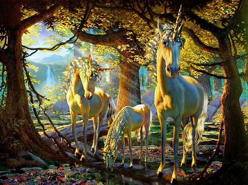 Unicorni, cavalli, luce solare, raggi solari, paesaggio, alberi, cascata, foresta Sfondo HD