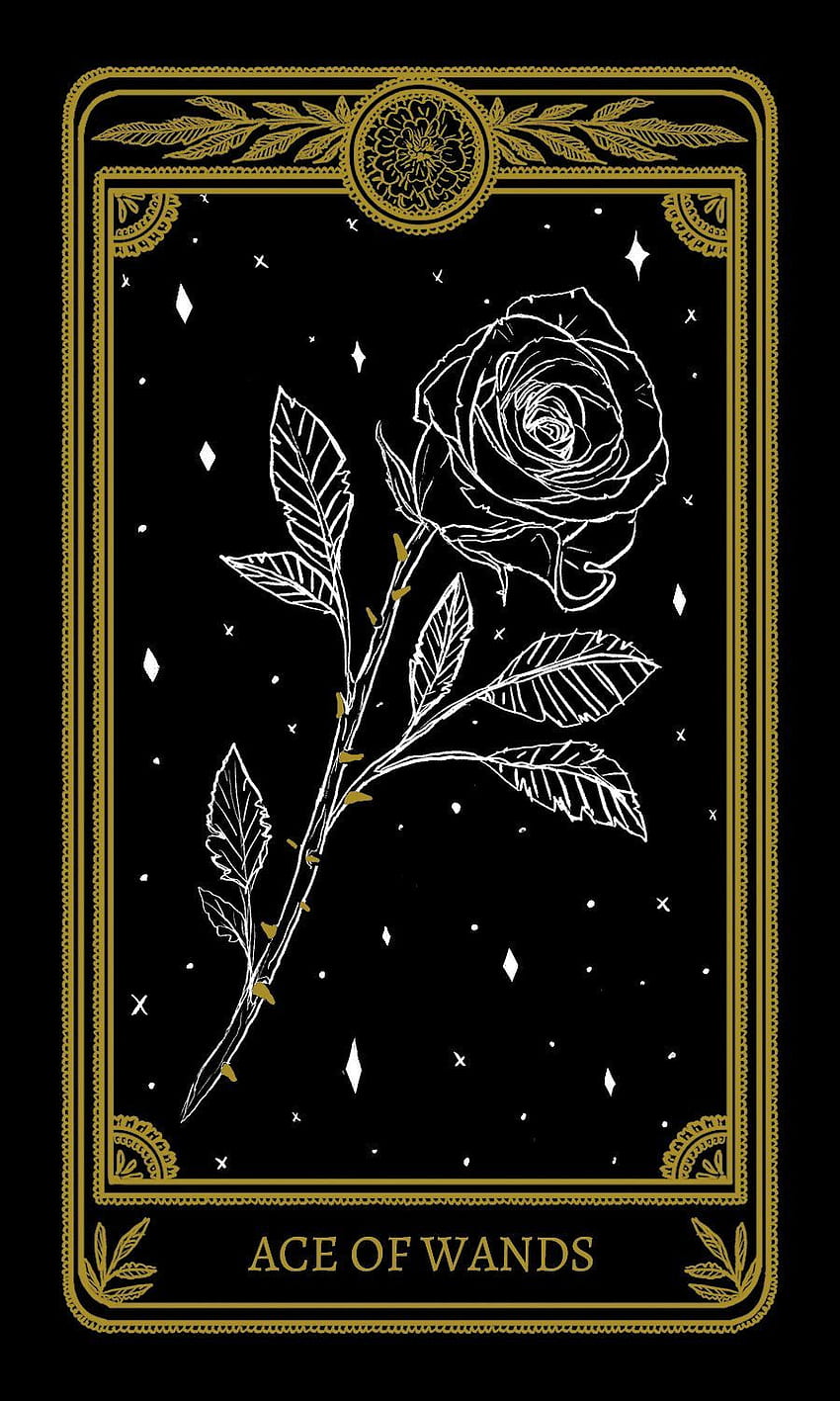マリーゴールド タロット - Amrit Brar のポートフォリオ。 Tarot card art, Card art, Tarot tattoo HD電話の壁紙