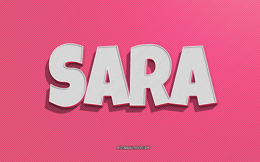 Sara, rosa Linien Hintergrund, mit Namen, Sara-Name, weibliche Namen, Sara-Grußkarte, Strichzeichnungen, mit Sara-Namen HD-Hintergrundbild
