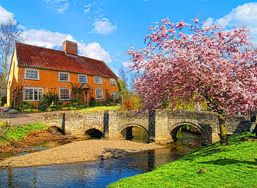 Country springtime, river, blooming tree, bridge, grass, country, spring, brick house HD wallpaper
