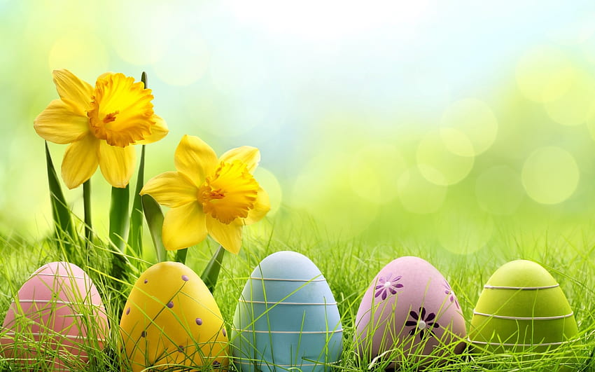 Hình nền laptop, Hình nền đẹp, Easter eggs: Hãy để chúng tôi giúp bạn tìm kiếm các hình nền độc đáo và ấn tượng cho laptop của bạn. Cùng khám phá bộ sưu tập hình nền đẹp và tìm những \