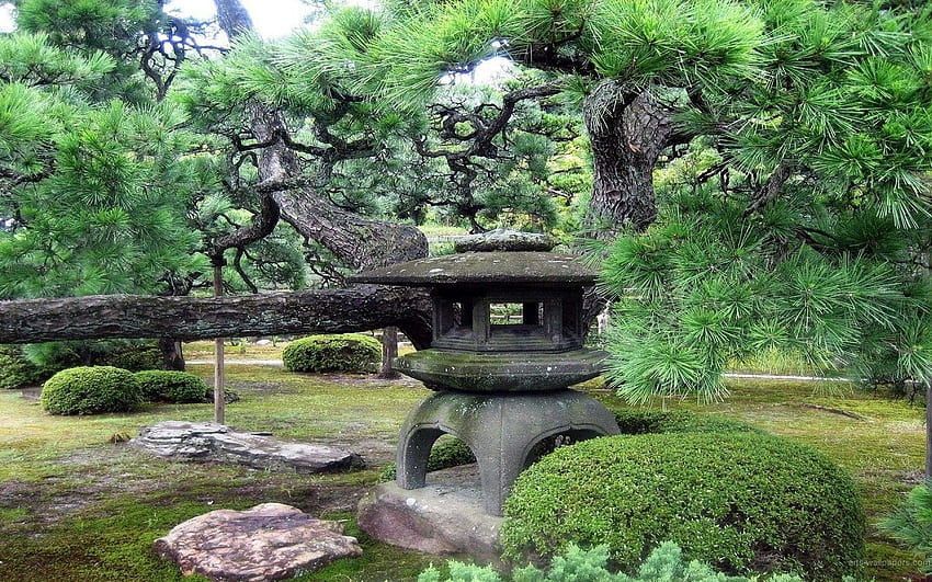 Page 950: Nature Garden Japanese Trees, Japanese Bell HD wallpaper