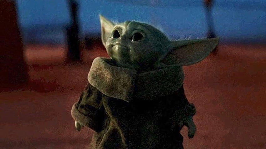 Adorable of Baby Yoda from Star Wars: The Mandalorian, Cute Baby Yoda HD wallpaper