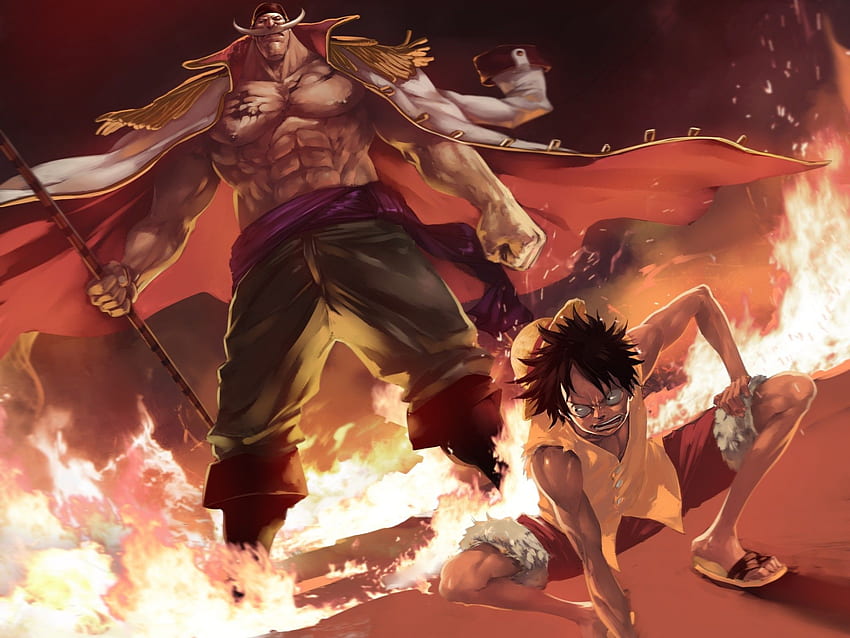 Luffy Gear 4 Android. Best Funny, Luffy Bound Man HD wallpaper
