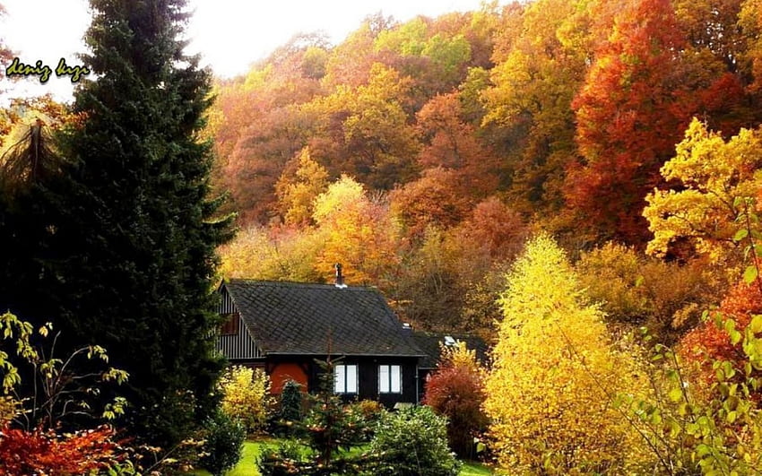 Cabaña en bosque de otoño, otoño, hojas, amarillo, árboles, otoño, naturaleza, cabaña, bosque, follaje fondo de pantalla