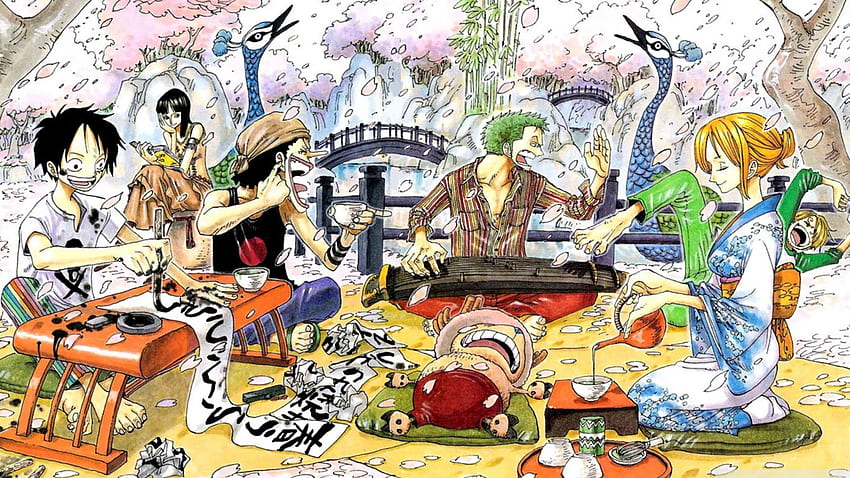 Grupo de One Piece, One Piece divertido fondo de pantalla
