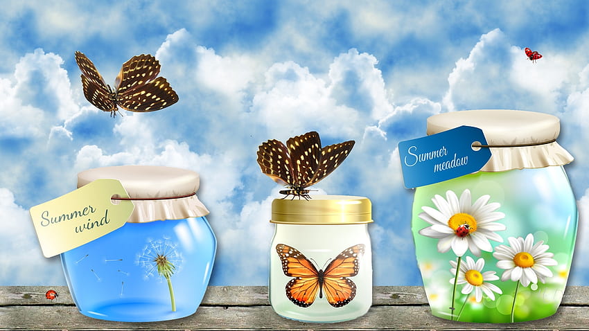 Catching Summer, ladybug, dandelion, spring, Firefox Persona theme, daisies, summer, butterflies, jars, cans, sky HD wallpaper
