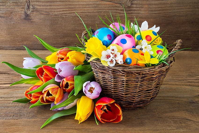 Easter Colors, basket, daffodils, flowers, tulips, eggs HD wallpaper