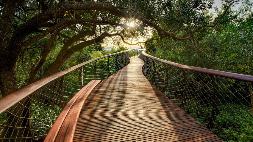 ทางเดินที่งดงาม r ม้านั่ง สะพาน r ป่า พระอาทิตย์ขึ้น ทางเดิน วอลล์เปเปอร์ HD