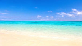 Bãi biển Bondi - một bãi tắm nổi tiếng của Australia. Với cát trắng và nước biển trong xanh, cùng với không khí mát mẻ, đây là điểm đến nghỉ dưỡng tuyệt vời. Hãy xem hình ảnh này để tìm hiểu thêm về nơi du lịch này.
