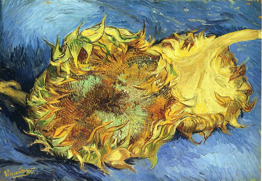 Still Life With Two Yellow Sunflowers - Vincent Van Gogh HD wallpaper