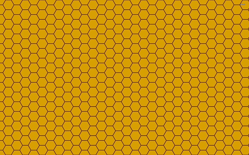 Honeycomb Lovely Honey B Background HD Wallpaper | Pxfuel