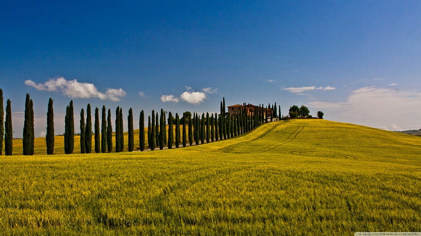 Italian Countryside, hills, landscape, fields, italy, sky, grass, countryside HD wallpaper