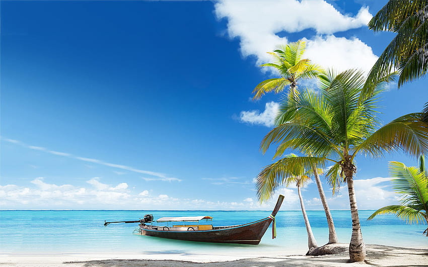 Tropical Beach Scenes, Flowers Tropical Beach HD wallpaper | Pxfuel