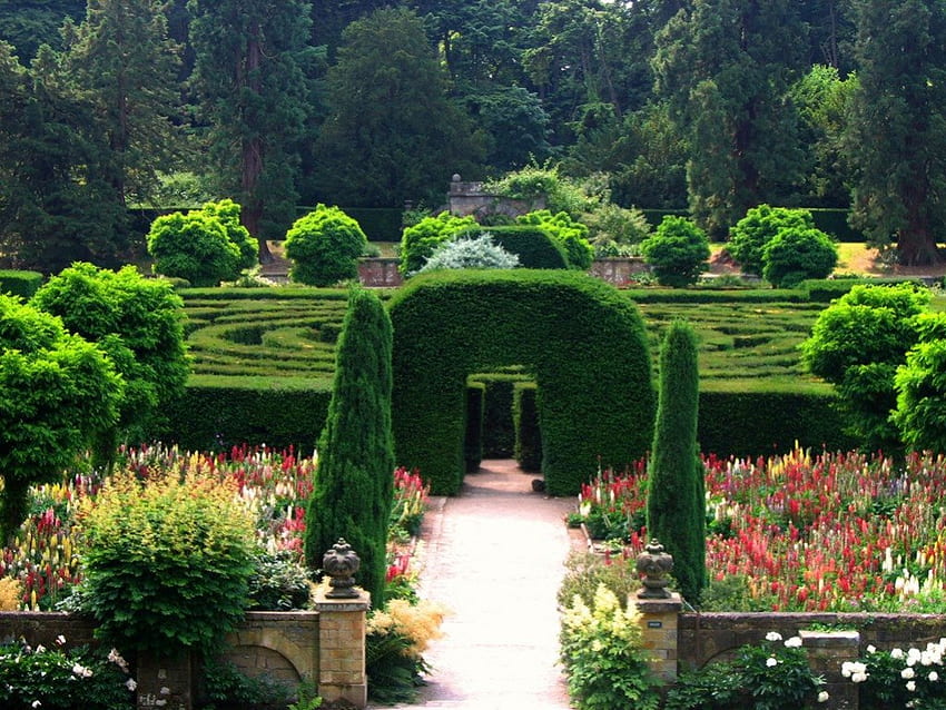 Le labyrinthe de Chatworth Gardens, design, mise en page, jardin, labyrinthe, historique, célèbre, Angleterre, chatworth, vert Fond d'écran HD