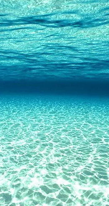 Ocean floor background HD wallpapers | Pxfuel