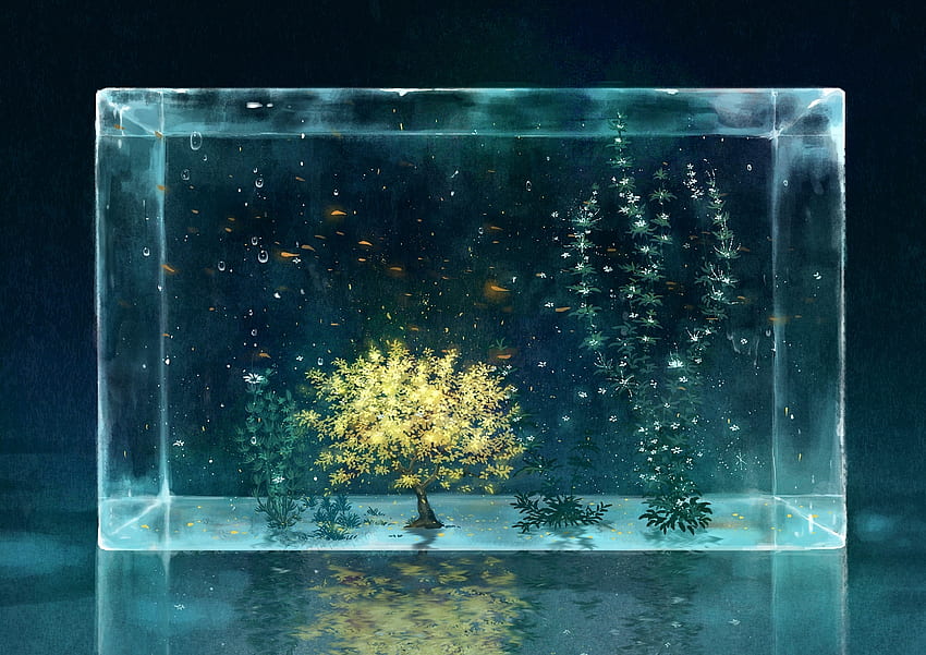 :), kazami ehoh, plant, anime, yellow, manga, water, aquarium HD wallpaper
