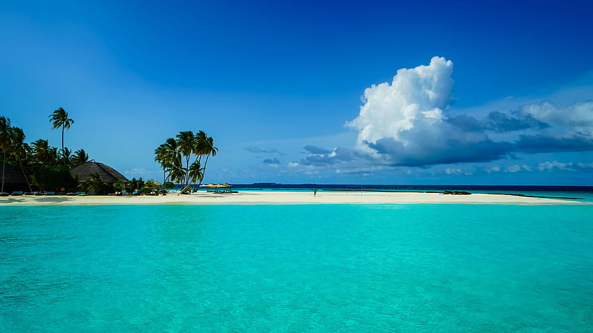 Indah Pemandangan Laut Pondok Pohon Palem Pantai Air Di Bawah Awan Putih Pantai Langit Biru Wallpaper HD