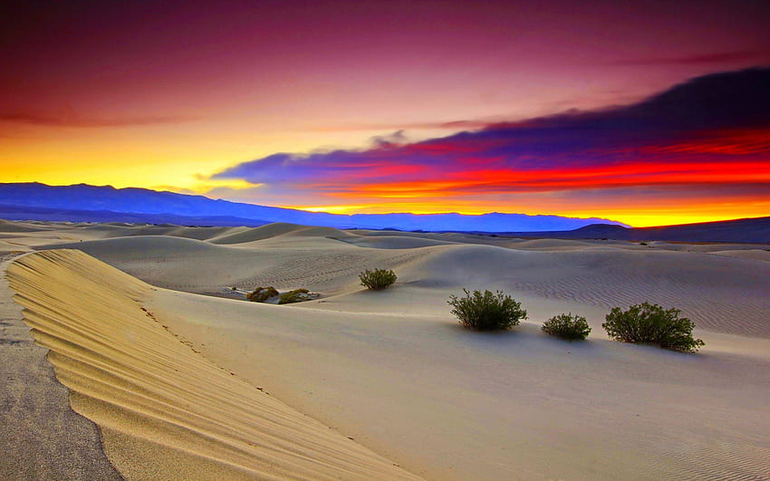 GURUN saat senja, gurun, pasir, malam, matahari terbenam Wallpaper HD