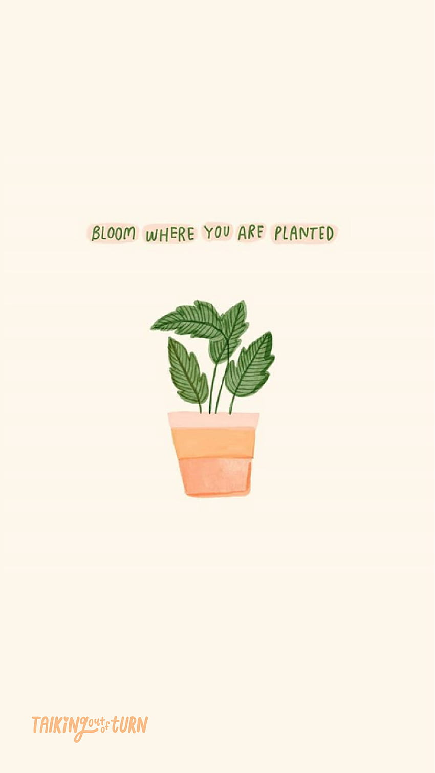 Cute Toot - Phone s– Talking Out Of Turn, House Plant HD phone wallpaper