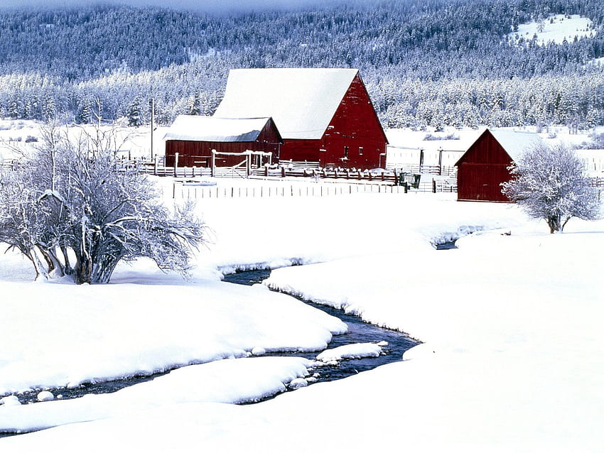 Winter, Nature, Snow, Bush, Drifts, Creek, Brook, Buildings HD wallpaper