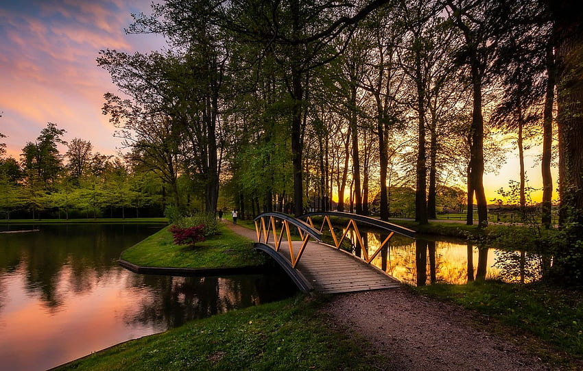 trees, landscape, sunset, nature, pond, track, Netherlands, the bridge, Holland for , section пейзажи, Netherlands Nature HD wallpaper